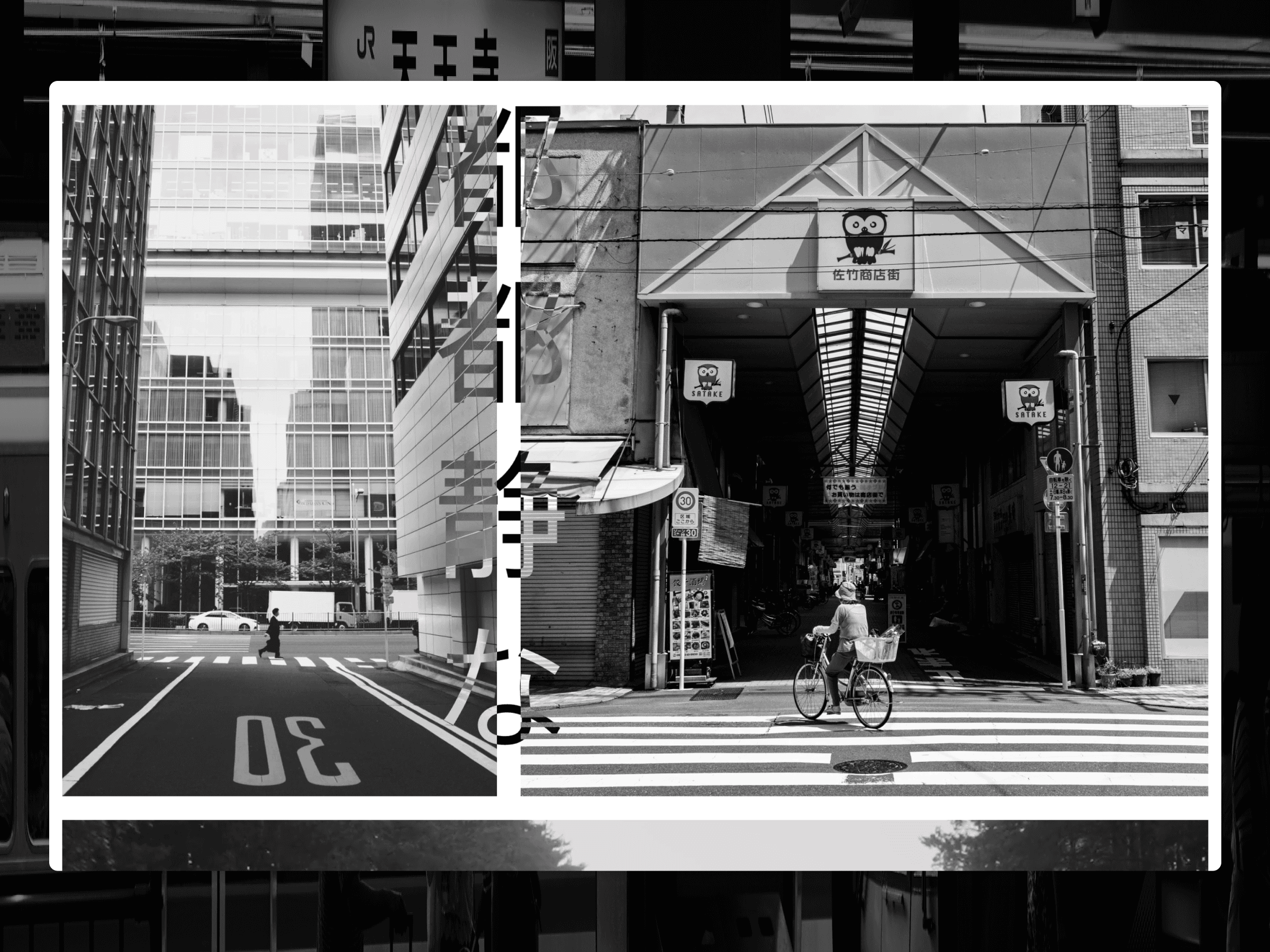 Portfolio project 14